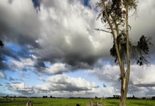 污染治理和节能减碳管理办法,污染治理和节能减碳管理办法的区别