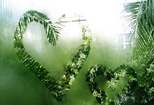 污染治理设施运行问题,污染治理设施类型指什么