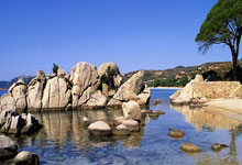 山体复绿招标,山体复绿网